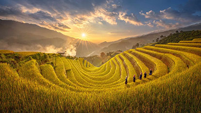 Travel to Mu Cang Chai Yen Bai to visit endless terraces of rice