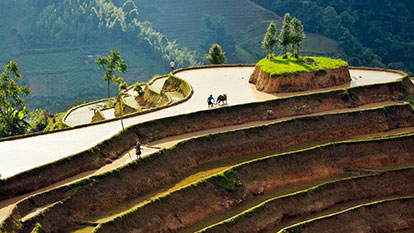 Admire the paradise of rice terraces in Hoang Su Phi Ha Giang