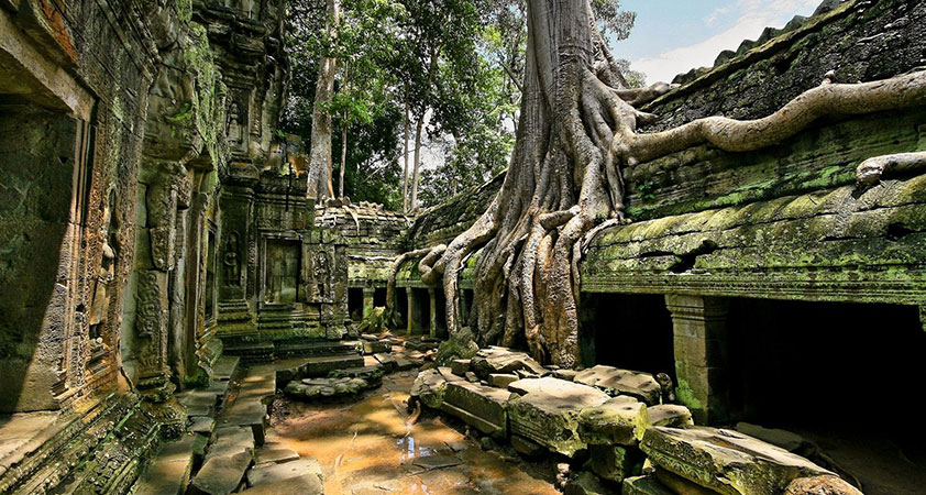 Ta Prohm - Tomb Raider Temple in Cambodia