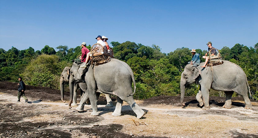 Elephant riding around Champasak