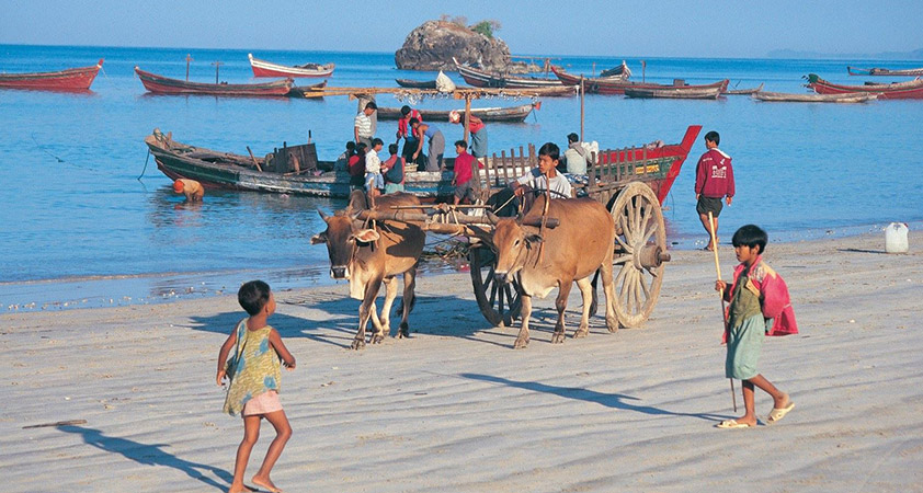 Besides swimming and sunbathing, visitors can join ride horse along Ngapali beach