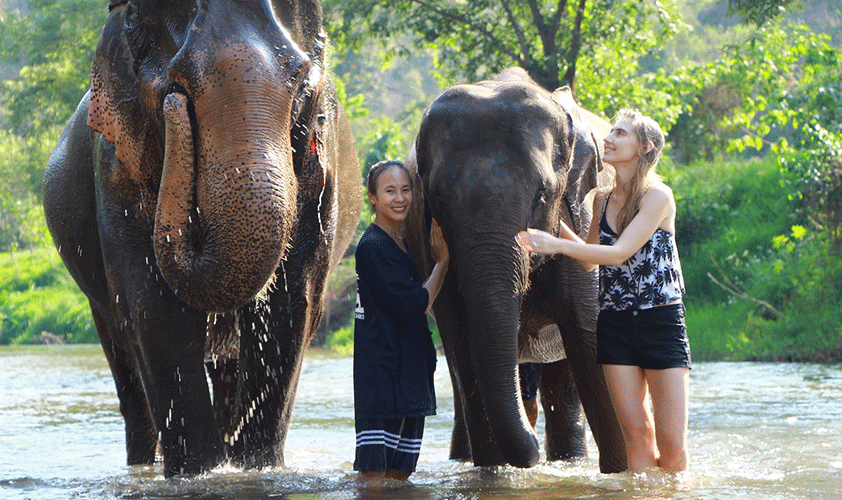 Elephant back on Chiang Mai 
