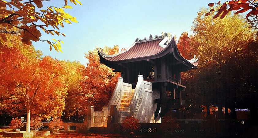 The beauty of One Pillar pagoda in the autumn