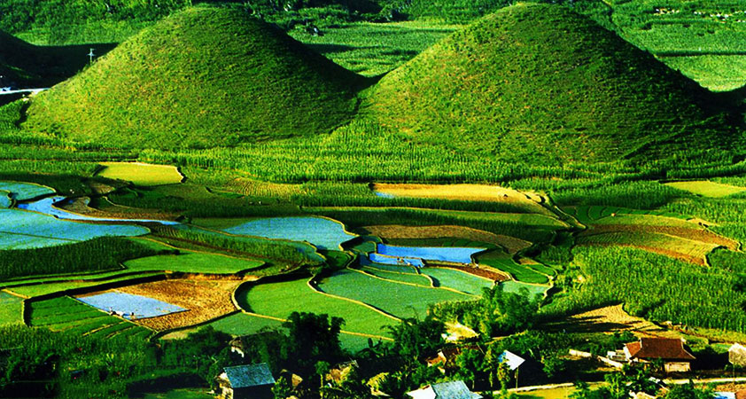 The twin mountains are outstanding among endless fields of rice