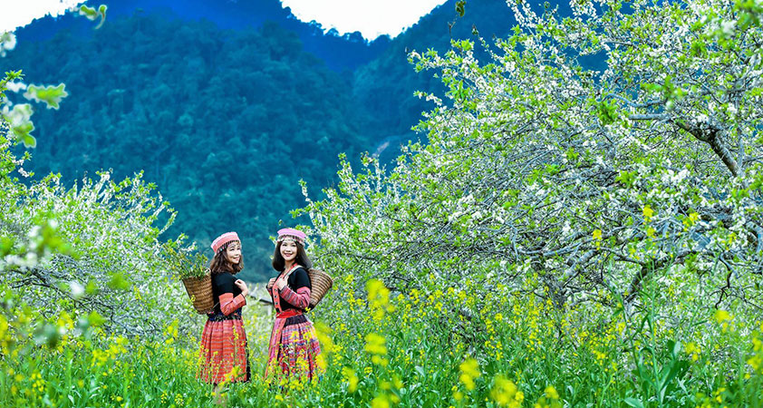 Check-in with flower - best things to do in Mai Chau all the year