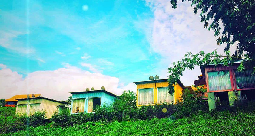 Container houses located on the green tea hill