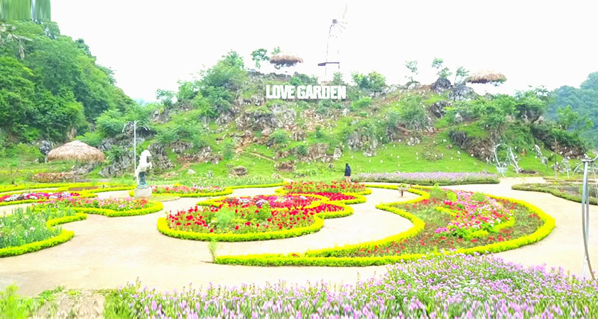 Come to visit the paradise of flowers in full colors