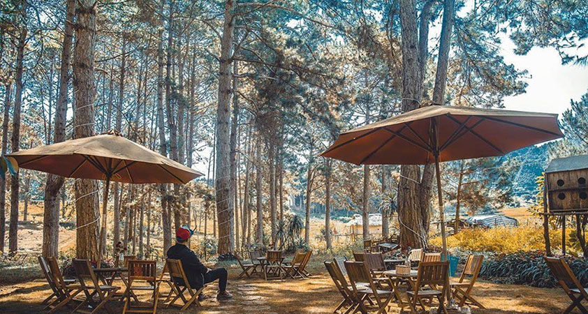 Small coffee shop in the forest for your break