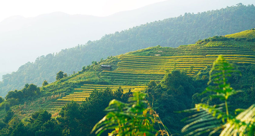 Stunning landscape in Son La, Vietnam