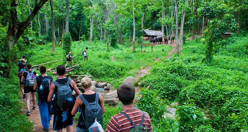 Visit Muong ethnic minority''s stilt houses deep in forests