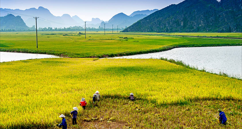 You will certainly get amazed at Ninh Binh what to see