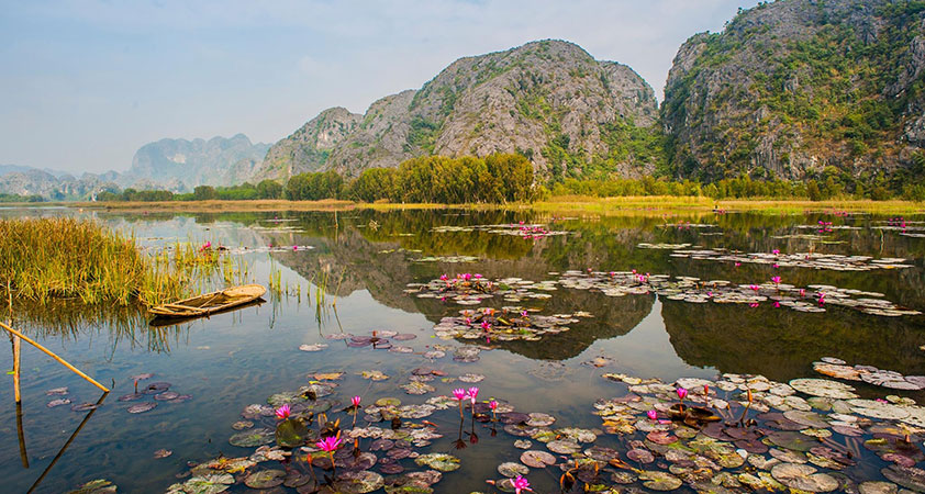 In June, lotus blossoms cover a wide area of the river