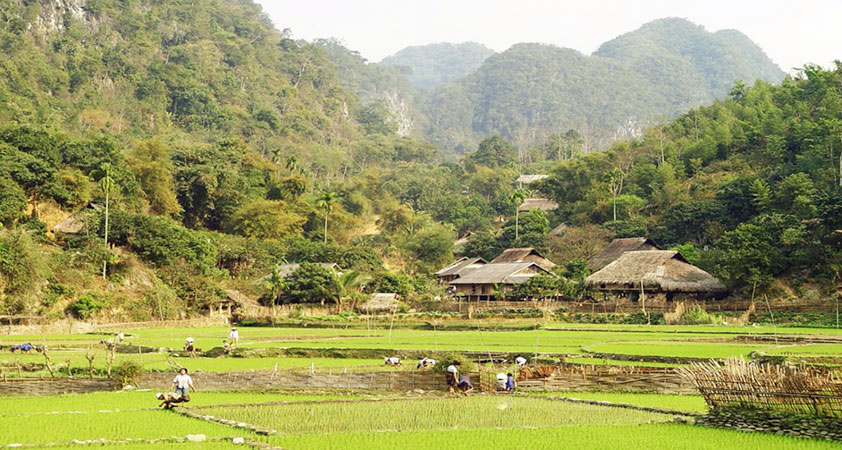 The charming beauty of Kho Muong Village