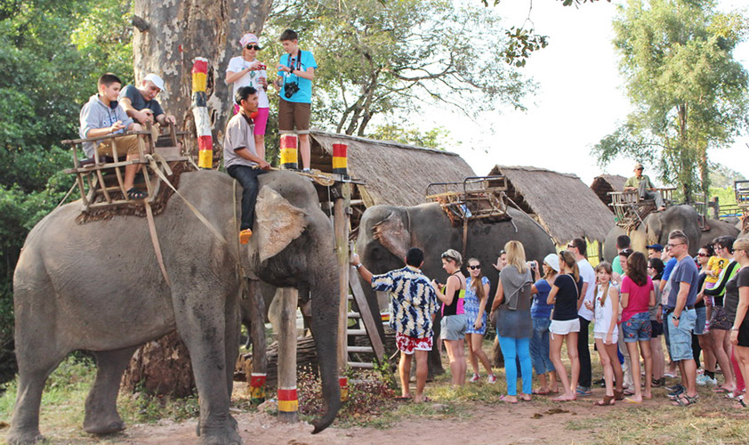 Don village is famous for catching and taming wild elephants