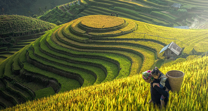 Sapa is an incredibly picturesque village located in the marvelous valley of Hoang Lien Son mountains near the Chinese border in the northwest of Vietnam