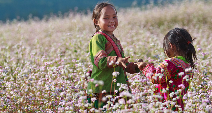 Cao Bang in the flower blossom