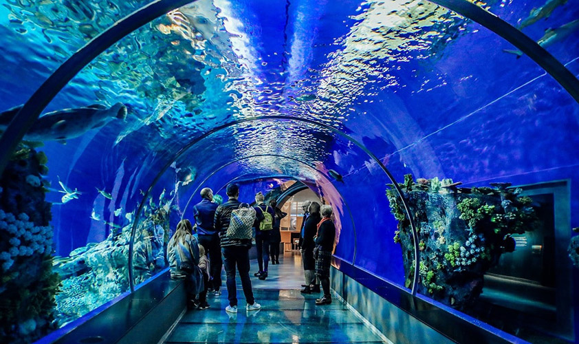 Tri Nguyen Aquarium was built in 1971, a highly inventive work of distinction, by Le Can