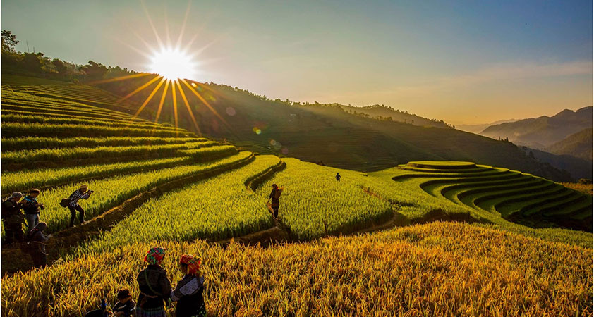 The paradise of terraces under the morning sunshine