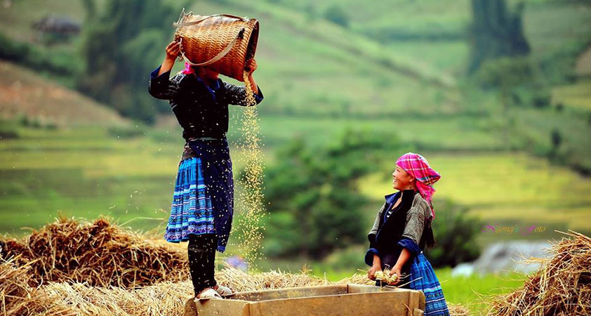 Local ethnic minorities in traditional costumes