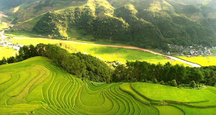 Muong Lo is like a picture of terraces of rice