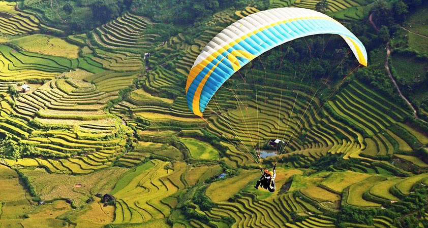 Admire the overview of Muong Lo rice field from above