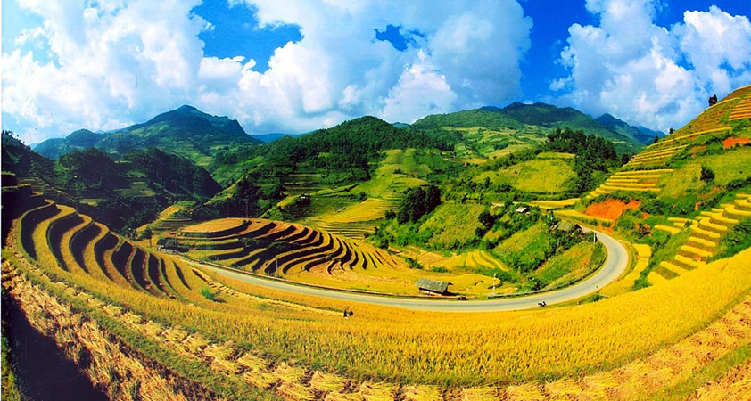 The roadway winds through endless terraces of rice
