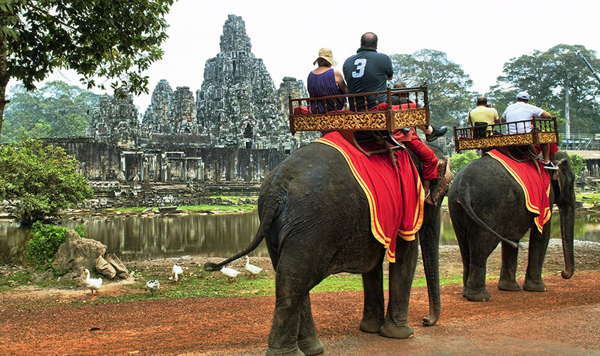 Take an elephant ride
