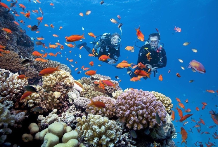 Cham Islands, the green gem of Da Nang, promises to offer you memorable experiences