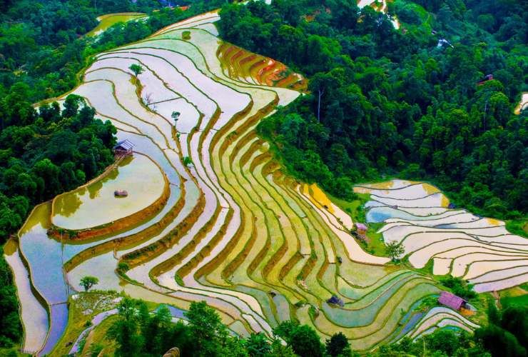 The flooding season in Hoang Su Phi also boasts a magnificent beauty, no less stunning than that of the ripe rice season