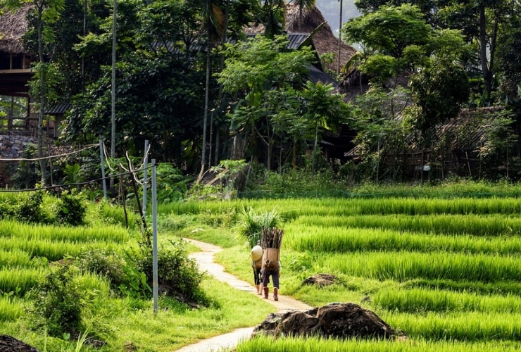 Terraces in Don Village