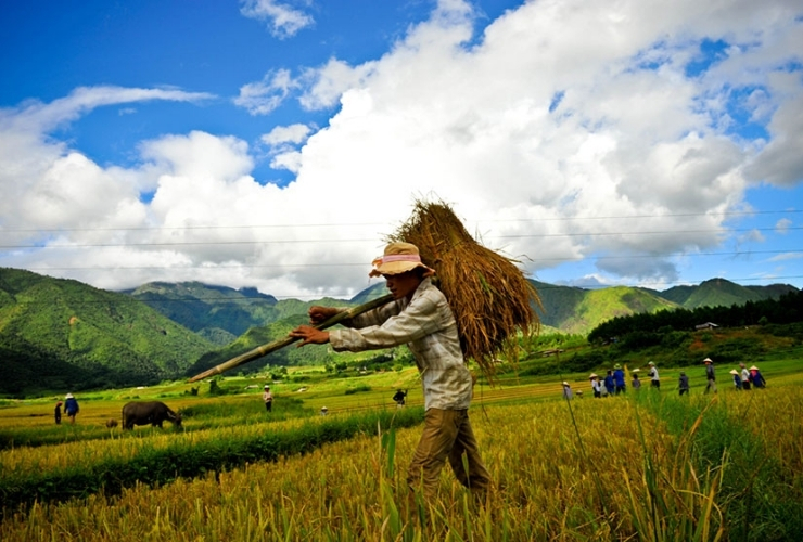 The charming beauty of Kho Muong Village