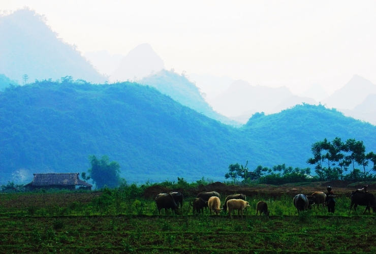 The tranquil beauty of Hieu Village