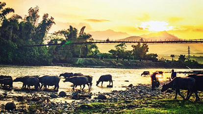 Admire a full range of landscape in Nghia Lo, Yen Bai, Vietnam