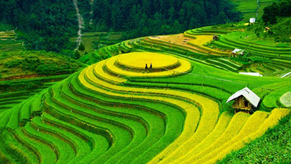 Top 31 best places to visit in the dew city Sapa, Vietnam