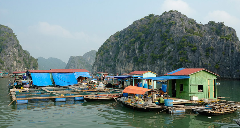 Cua Van floating village
