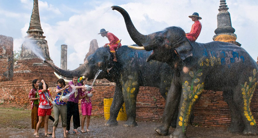 Elephant Festival in Laos