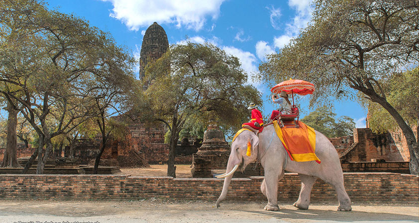 Ride elephant in Ayutthaya