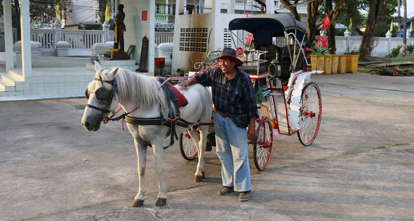 Take you on a tour of this old city by horse carriages