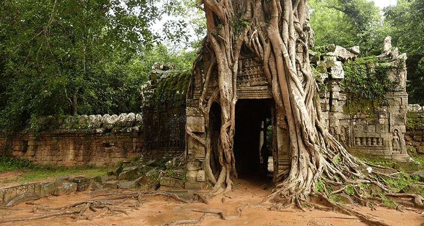 Ta Som Temple, Siem Reap
