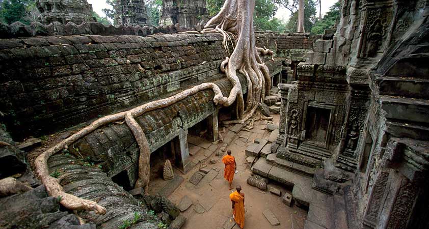 Visit the Landmine Museum and mystical Ta Prohm, unique for the overgrown roots of giant fig trees