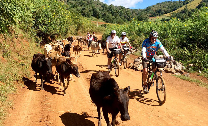 Spend the whole day exploring the ancient Bagan City by cycling