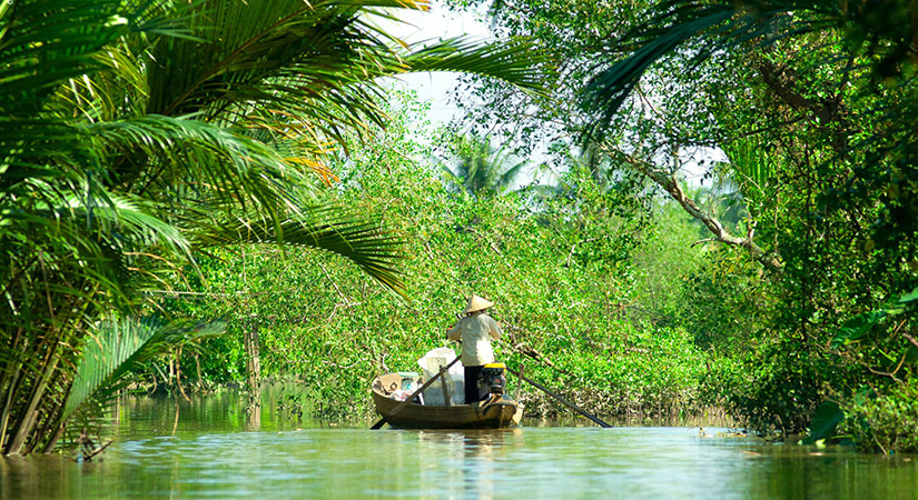Upon arrival in My Tho, you can take a sampan boat to see the daily life of the locals