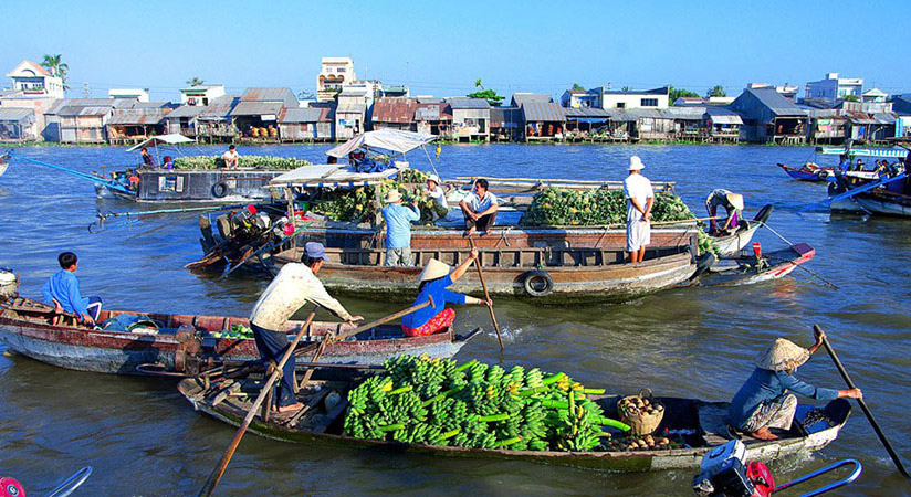 The trip gives you the chance to explore Cai Rang floating market