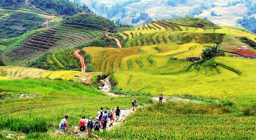 Trekking in Sapa give you exceptional experience