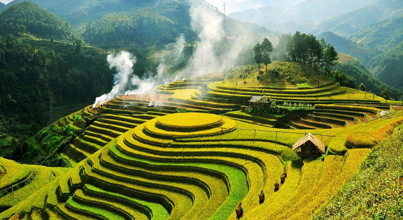 Sapa is famous for endless beautiful rice fields