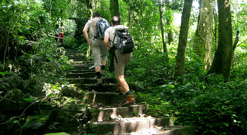 Trekking through Cuc Phuong National Park