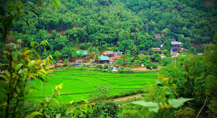 The green beauty of Mai Chau valley