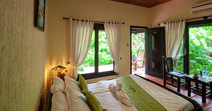  Deluxe Double or Twin Room with River View