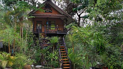  Khaosok Treehouse Resort 