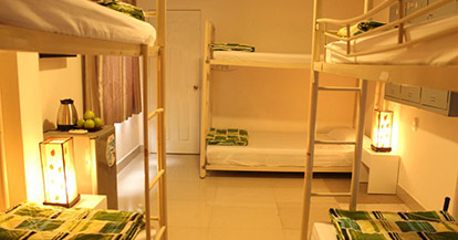  Bed in 8-Bed Mixed Dormitory Room